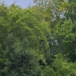 Meet your Posher, Soojin